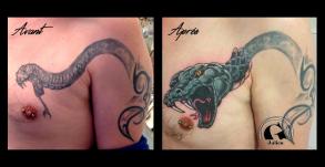 graphicaderme_avignon_retape_snake_serpent_tatouage