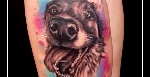 graphicaderme_avignon_chien_aqurelle_realiste_tatouage