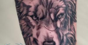 tatouageloup-tatouagelouprealiste-graphicadermeavignon-tatoueursvaucluse-meilleurstatoueursavignon-tatoueurscavaillon-tatoueursvilleneuvelesavignons