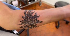 edelweiss-fleurs-lys-stephane-chaudesaigues-tatoueur