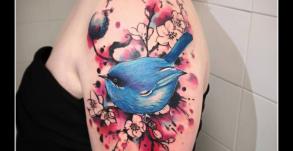 graphicaderme-avignon-julien-dirtycool-aquarelle-oiseau-avignon-tatouage