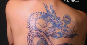  graphicaderme-tatouagedragonbleu-tatouagefemmedos-meilleurstatoueursavignon-tatoueuseavignon-tatoueursvauvluse-tatouagedosdragon-tatouagedragon-tatouagefleurs-tatouagefleursbleu1