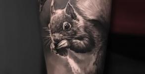 meilleure-tatoueuse-joe-wild-noa-yanni-tattoo-ecureuil