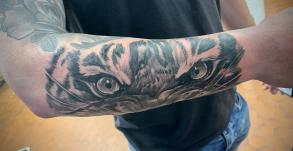 stephane-chaudesaigues-tatouage-oeil-tigre