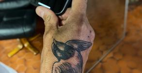 stephane-chaudesaigues-tatoueur-hirondelle-realiste-tattoo