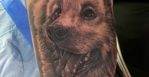 tatoueur-saint-flour-avignon-stephane-chaudesaigues-chien-tatouage-realiste