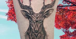 tatoueuse-tatoueur-vaison-la-romaine-vaucluse-joe-wild-graphicaderme-tatouage-cerf