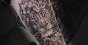 tatoueuse-tatoueur-vaison-la-romaine-vaucluse-joe-wild-graphicaderme-tatouage-lion