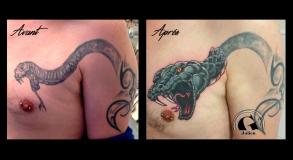 graphicaderme_avignon_retape_snake_serpent_tatouage