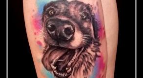 graphicaderme_avignon_chien_aqurelle_realiste_tatouage