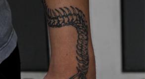 Graphicaderme-avignontatouage-tatoueursavignon-tatouagesqueletteserpent-skeletonsnaketattoo-meilleurstatoueursavignon