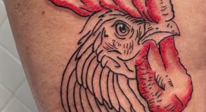 Tatouage-avignontatoueur-graphicaderme-meilleurstatoueursavignon-tatouagehommecoq-tatoueursvaucluse-tatoueursavignon