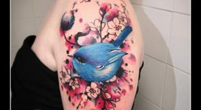 graphicaderme-avignon-julien-dirtycool-aquarelle-oiseau-avignon-tatouage