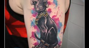 graphicaderme-juliendirtycool-avignon-tatouage-bastet-opticien