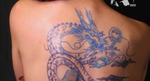  graphicaderme-tatouagedragonbleu-tatouagefemmedos-meilleurstatoueursavignon-tatoueuseavignon-tatoueursvauvluse-tatouagedosdragon-tatouagedragon-tatouagefleurs-tatouagefleursbleu1