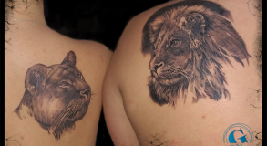 Tatouage Tattoo Animaux Noir et Gris Avignon