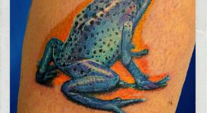 joe-wild-tatoueur-vaison-la-romaine-malaucene-nyons-bollene-tatouage-grenouille
