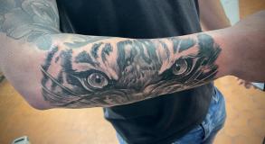 stephane-chaudesaigues-tatouage-oeil-tigre