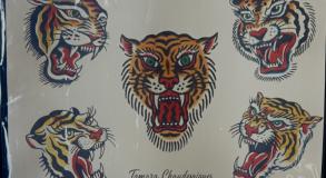 Planche de flashs de tigres en tatouage traditionnel Old School créée par Tamara Chaudesaigues au studio Graphicaderme Avignon.