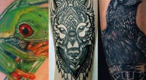 tattoo_animal_studio_tatouage_vaison_la_romaine_tatoueur_vaison_graphicaderme