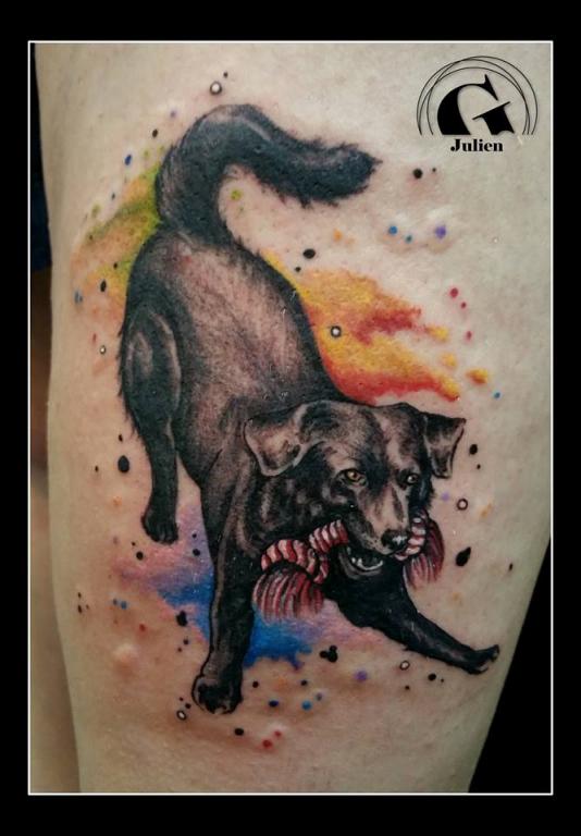 graphicaderme_tattoo_tatouage_vaucluse_aquarelle_chien