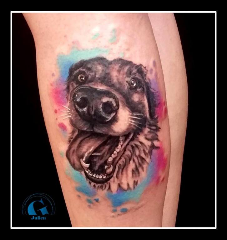 graphicaderme_avignon_chien_aqurelle_realiste_tatouage