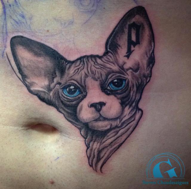 graphicaderme-steven-chat-tatoueur-avignon-vaucluse-sphynx