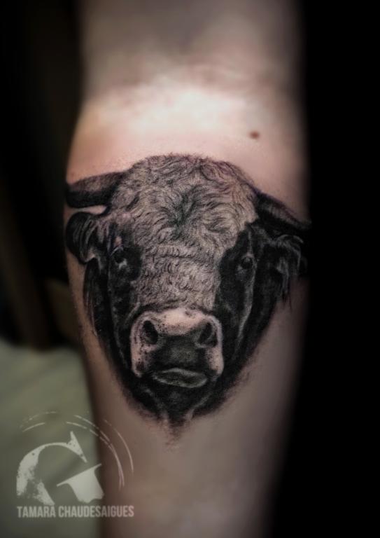 Graphicaderme-TamaraChaudesaigues-tatouagetaureaurealiste-tatouagetaureau-tatouagerealisteanimal-meilleurstatoueursavignon-tatoueurscantal-Chaudesaigues-tatoueursrealismevaucluse