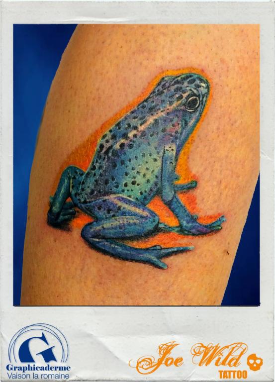 joe-wild-tatoueur-vaison-la-romaine-malaucene-nyons-bollene-tatouage-grenouille