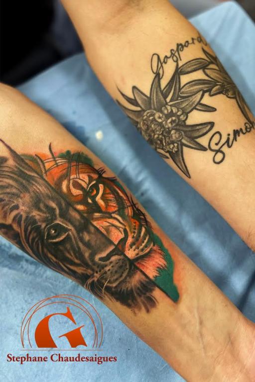 lion-tatouage-homme-couleur-atelier-tatouage-tattoo-graphicaderme-chaudesaigues-avignon_0.jpg