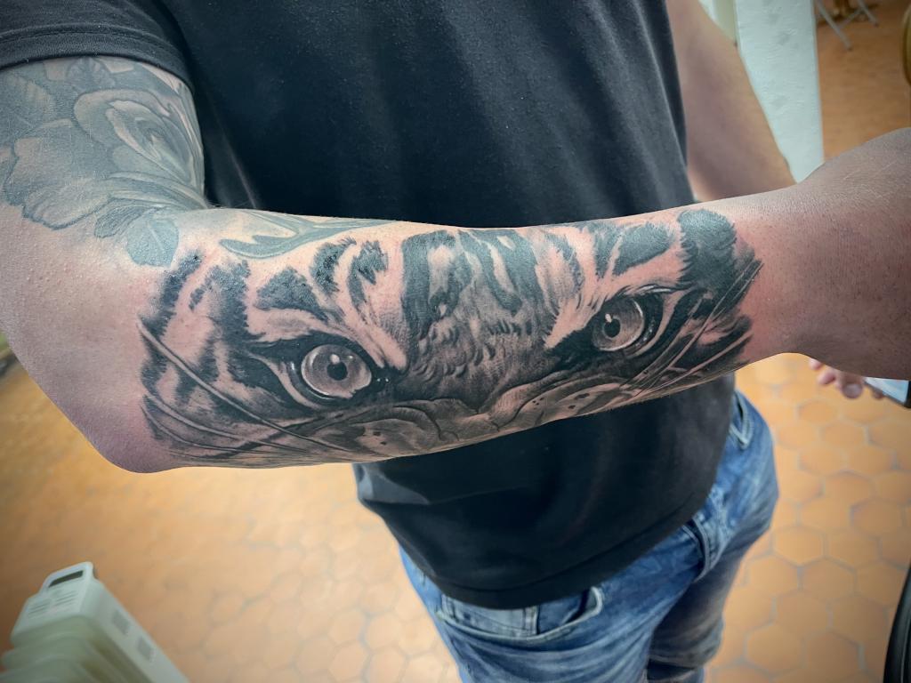 stephane-chaudesaigues-tatouage-oeil-tigre