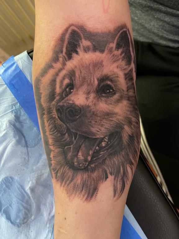 tatoueur-saint-flour-avignon-stephane-chaudesaigues-chien-tatouage-realiste