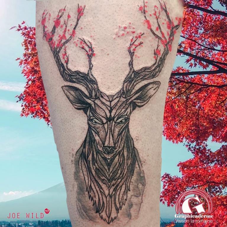 tatoueuse-tatoueur-vaison-la-romaine-vaucluse-joe-wild-graphicaderme-tatouage-cerf