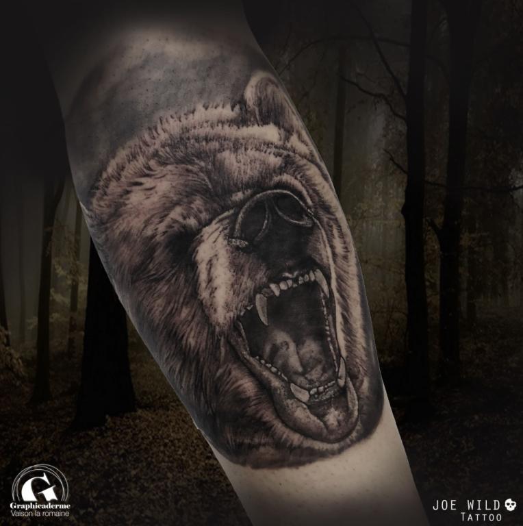 tatoueuse-tatoueur-vaison-la-romaine-vaucluse-joe-wild-graphicaderme-tatouage-ours