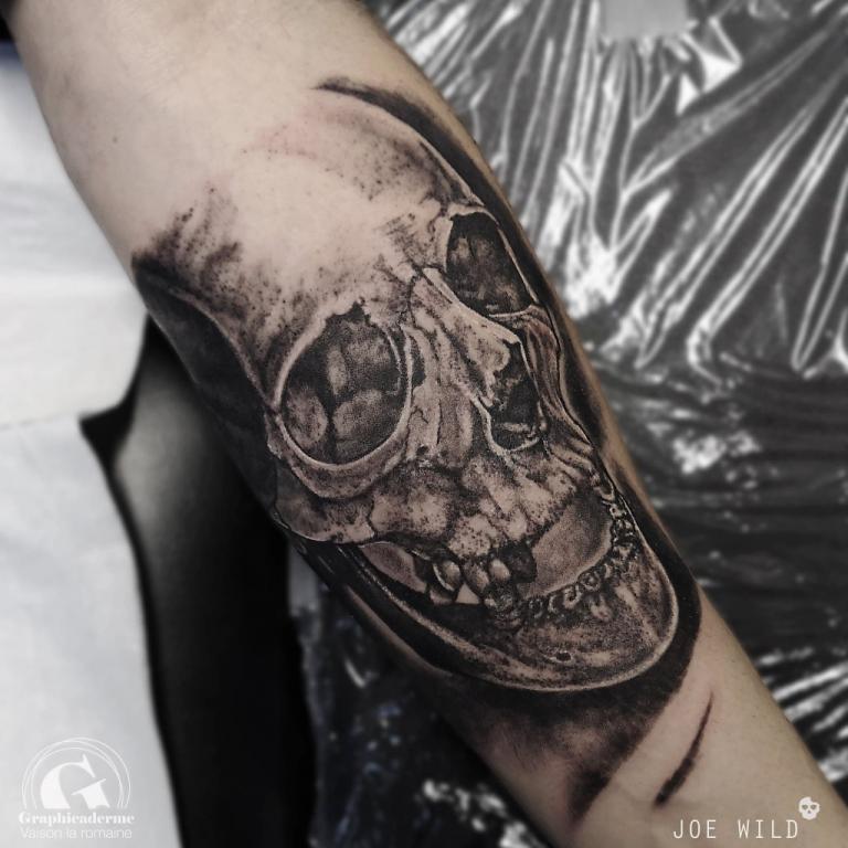 atoueuse-tatoueur-vaison-la-romaine-vaucluse-joe-wild-graphicaderme-tatouage-skull