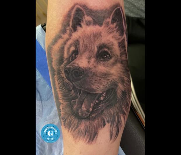 Graphicaderme-avignontatouage-tatoueursavignon-tatouagechien-tatouageanimal-tatoueursvaucluse-stephanechaudesaigues-tatoueurschaudesaigues-tatoueurscantal-tatouageanimalrealiste