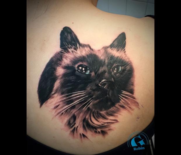 Tatouage Chat Graphicaderme Tatouage Chat Graphicaderme