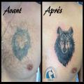 graphicaderme_avignon_retape_loup_wolf_tatouage
