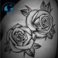 graphicaderme_roses_oldschool_blackwork_tatouage
