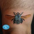 Graphicaderme-avignontatouage-tatoueursavignon-tatouageinsecte-tatouage' 