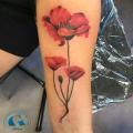 graphicaderme-adrien-vaucluse-republique-avignon-tatouage-tatoueur-fleur-coquelicot