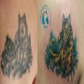 graphicaderme_avignon_retape_tigre_tiger_tatouage_vaucluse