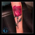 graphicaderme_juliendirtycool_rose_tatouage_avignon-paca-Vaucluse-tatoueur