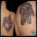 Modele Tatouage Lion Lionne Vaucluse PACA