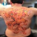 Photo Tatouage Phenix Phoenix Dos Couleur