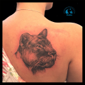 Image Tatouage Animaux Lionne Realiste