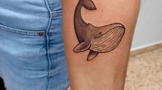 steven-chaudesaigues-meilleur-tatoueur-orange-vaucluse-graphicaderme-tattoo