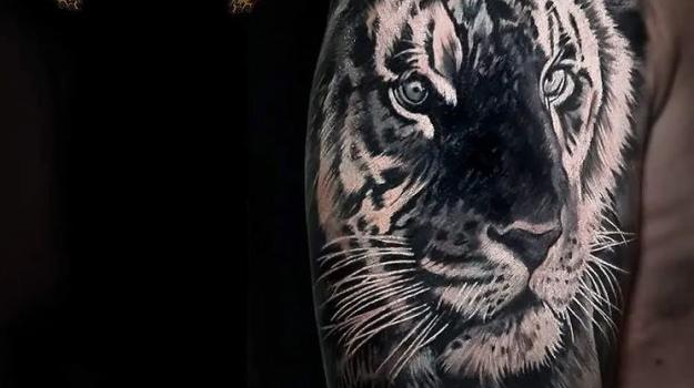 meilleure-tatoueuse-paris-barbara-rosendo-tatouage-tattoo-tigre-realiste