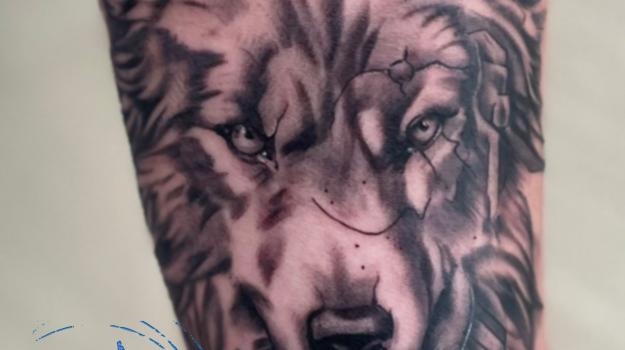 tatouageloup-tatouagerealisteloup-graphicadermeavignon-meilleurstatoueursavignon-tatoueursgraphicaderme-tatoueursvaucluse-tatoueurscavaillon-tatoueursvilleneuvelesavignons