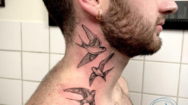 graphicaderme-avignon-tatouagehomme-tatouagecou-tatouagehirondelles-tatouagehirondellecou-tatouagerealiste-tatouagehommage-meilleurstatoueursavignon-tatouagerealiste